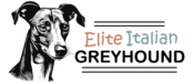Elite Italian Greyhound