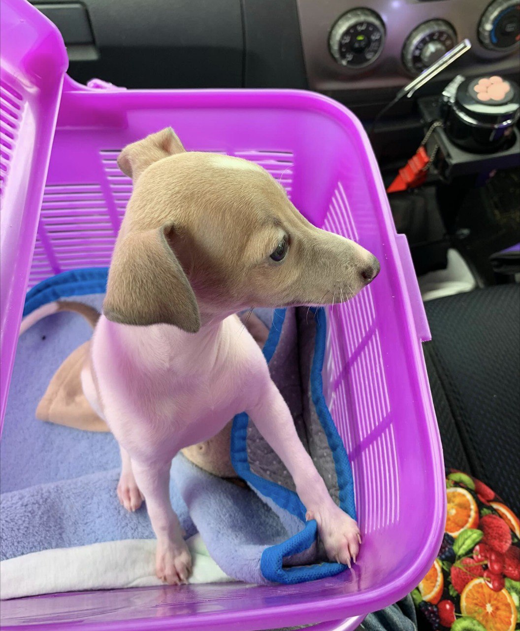 Image gallery marquee