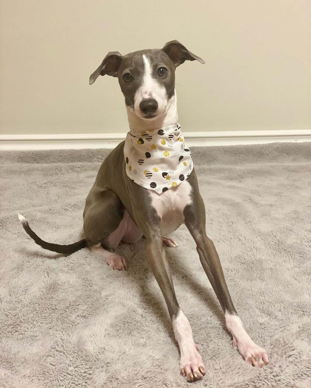 Image gallery marquee