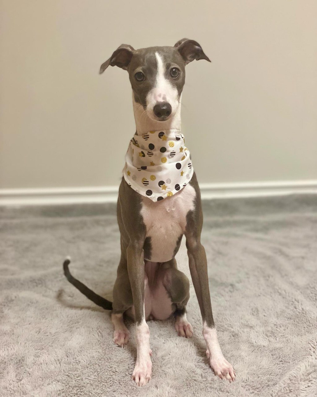 Image gallery marquee