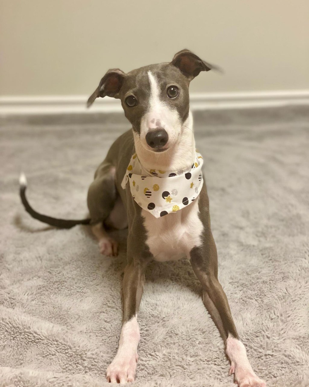 Image gallery marquee