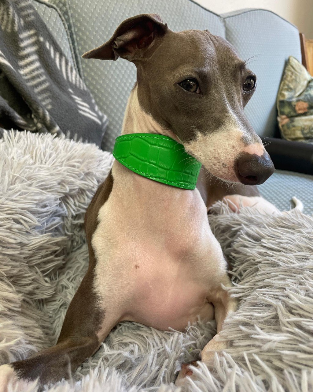 Image gallery marquee