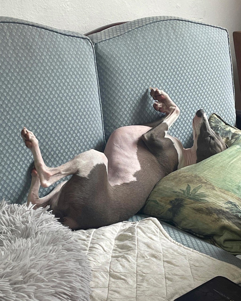 Image gallery marquee