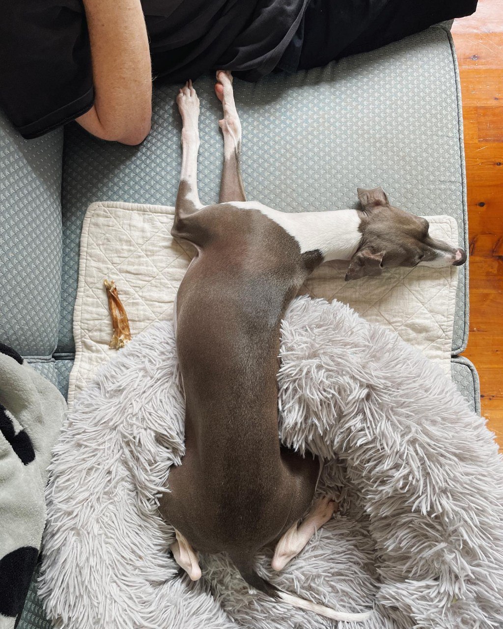 Image gallery marquee