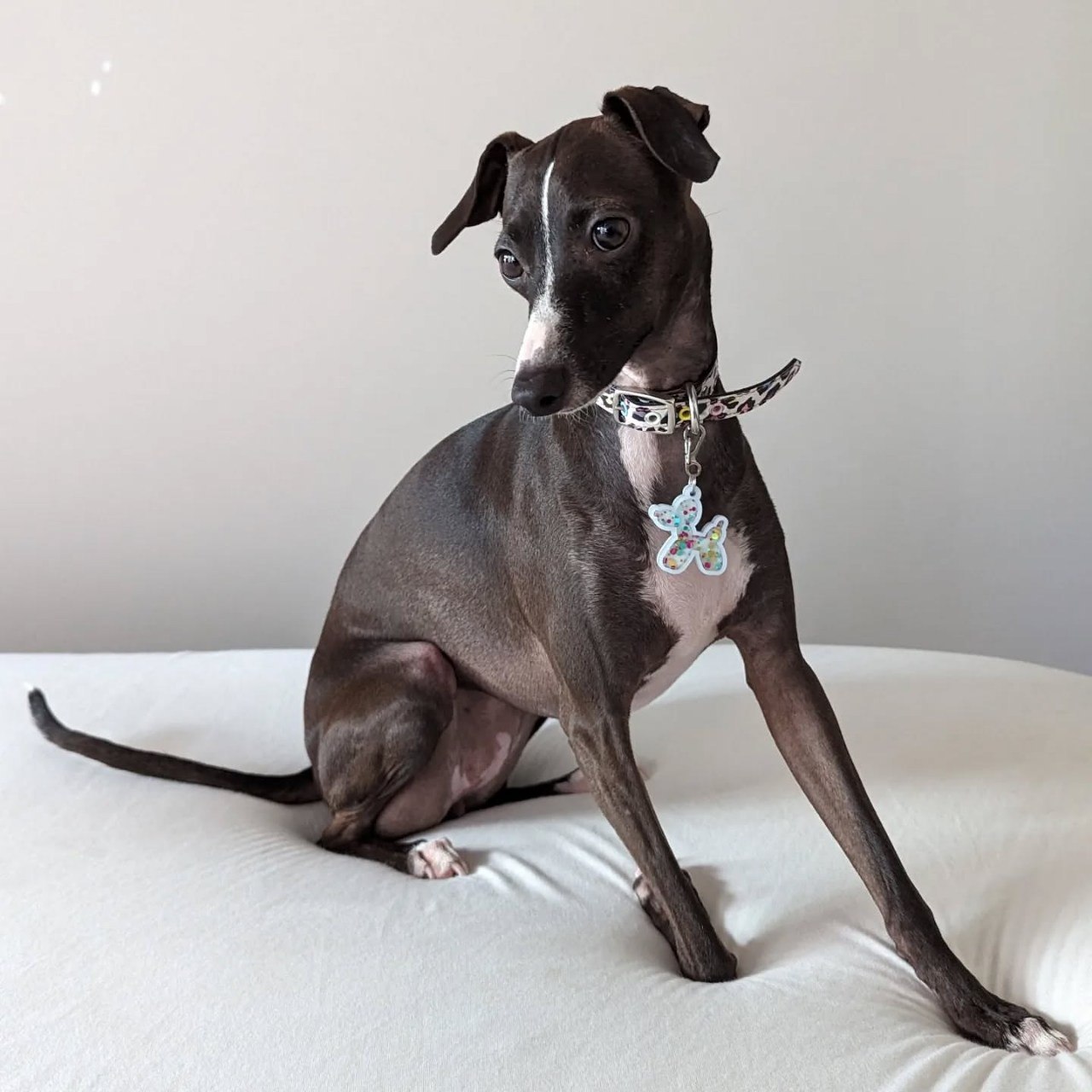 Image gallery marquee