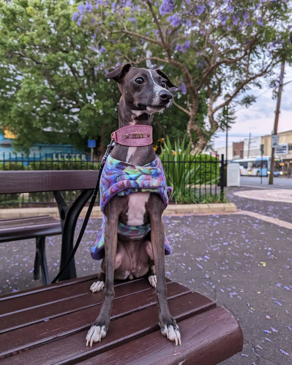 Image gallery marquee