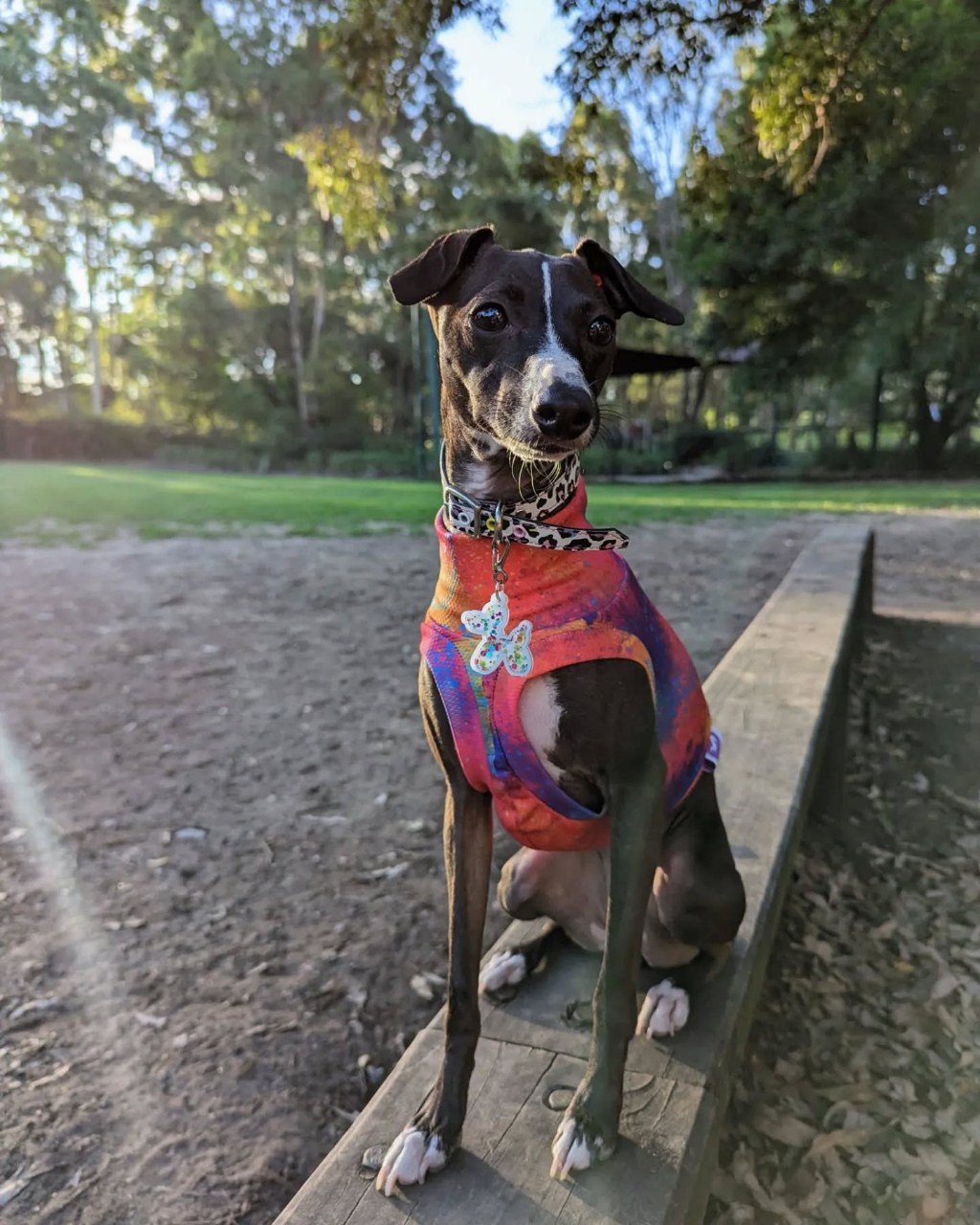 Image gallery marquee