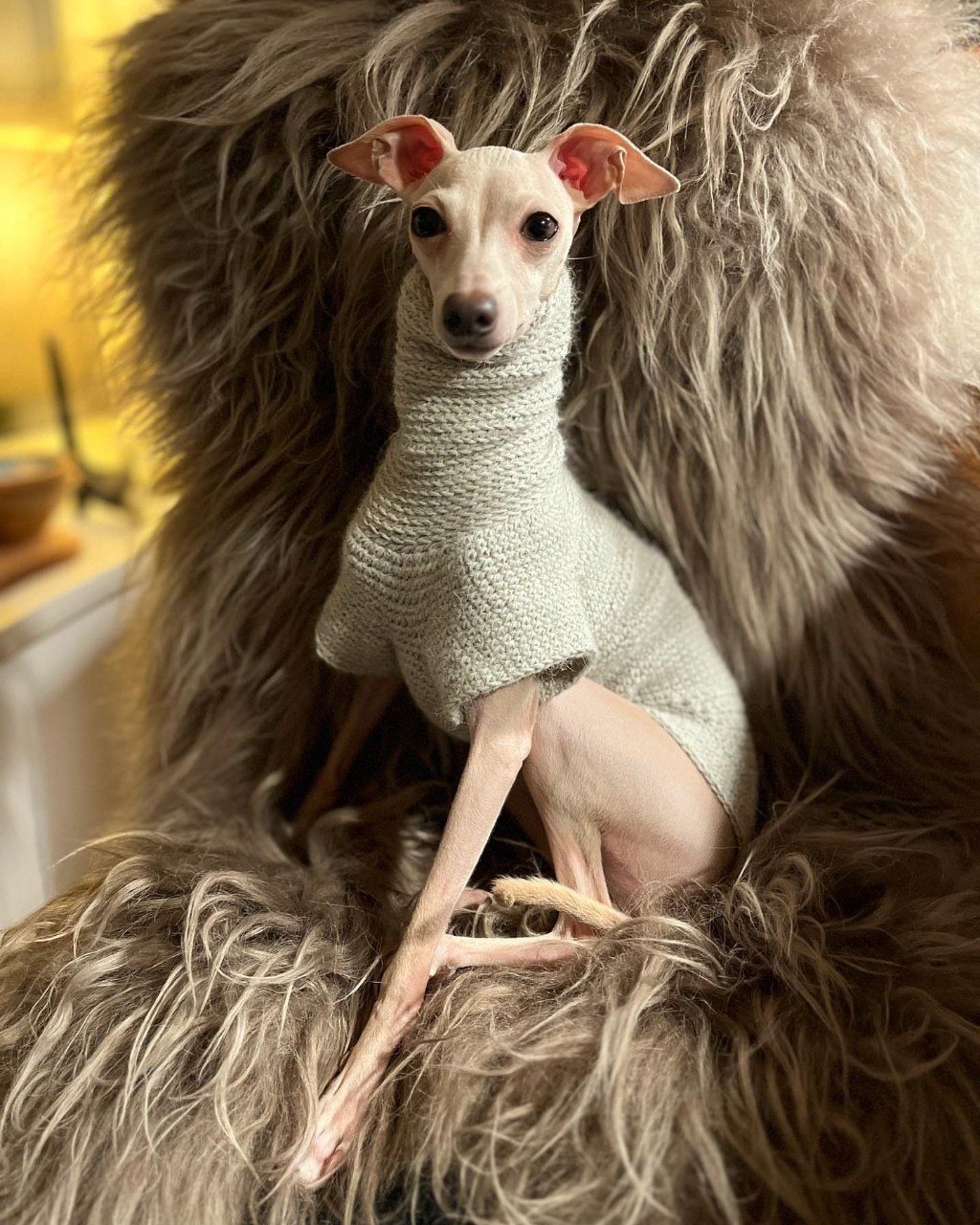 Image gallery marquee