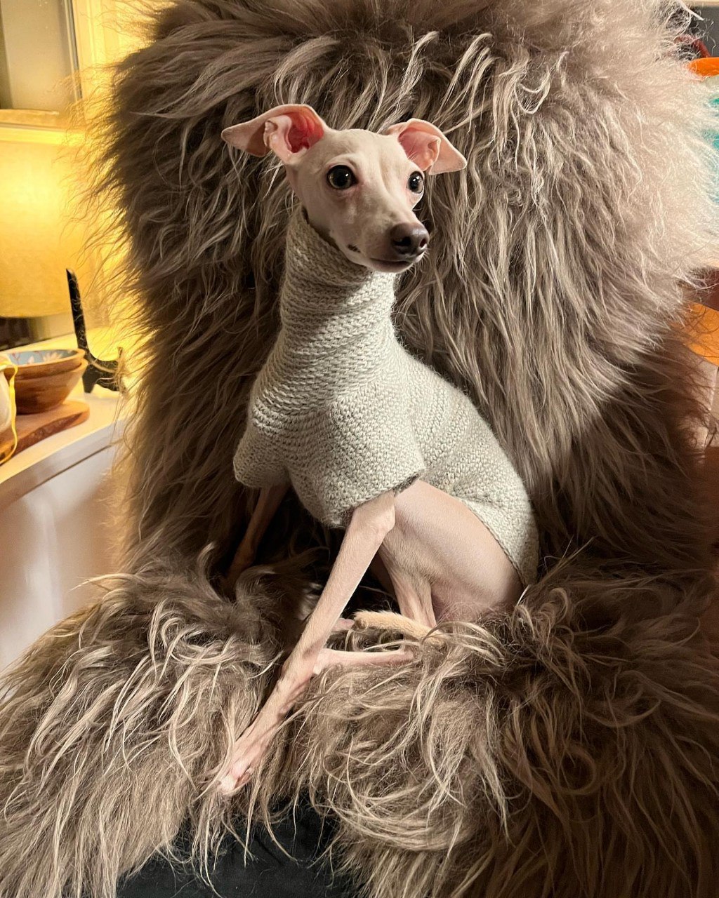 Image gallery marquee